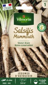 Salsifis Mammouth